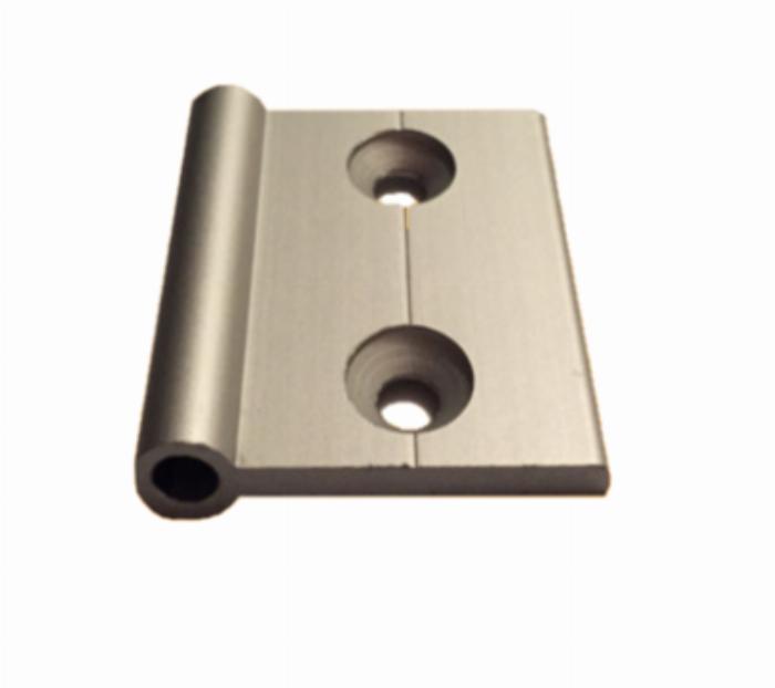 Internal Hinge 20, single hinge leaf